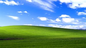 Windows XP Bliss Wallpaper